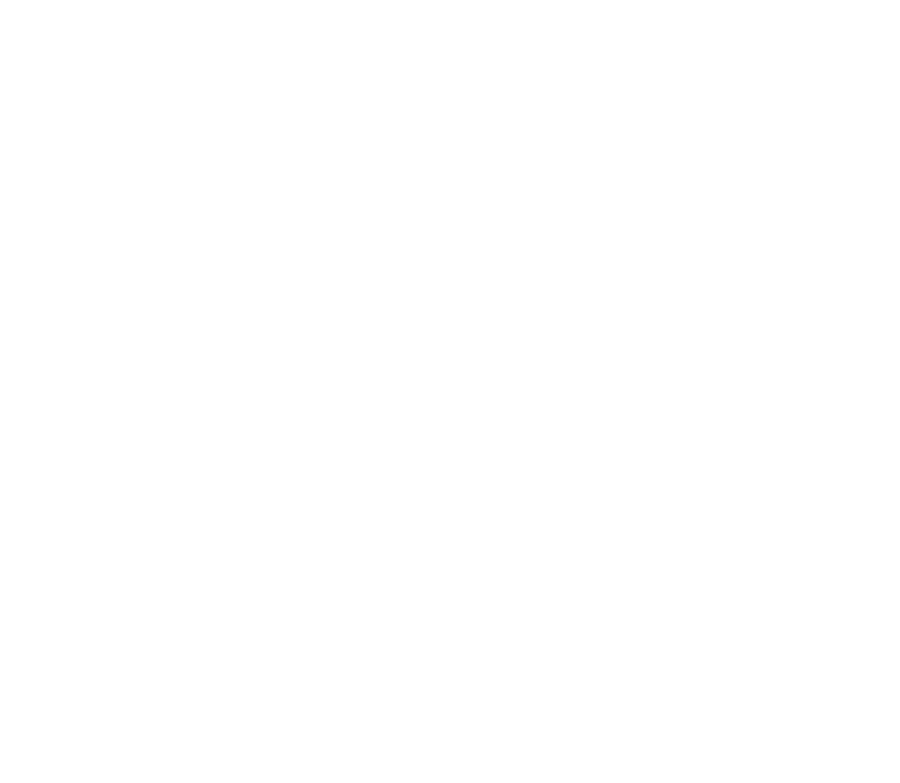 NBS Shuttle Chauffeurdienste